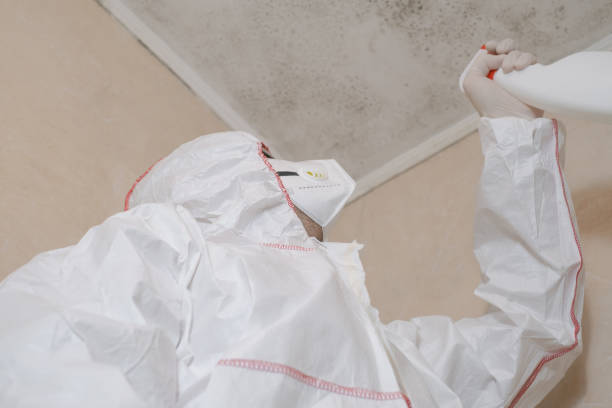 Best Professional Mold Removal  in Leisure Village West, NJ