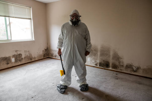 Best Same-Day Mold Removal  in Leisure Village West, NJ